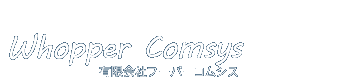 有限会社フーパーコムシス